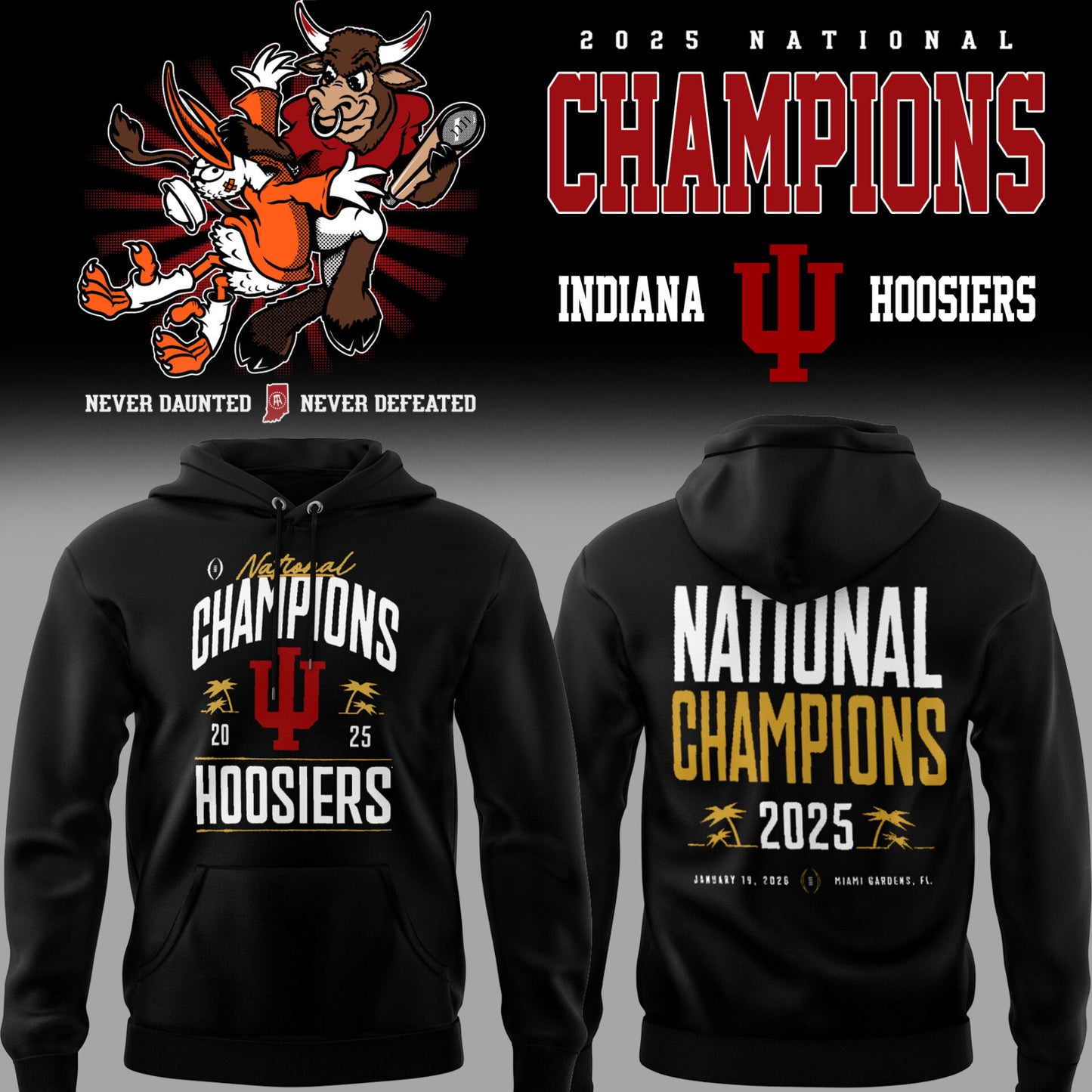 Limited Edition 2025 National Champions Hoodie