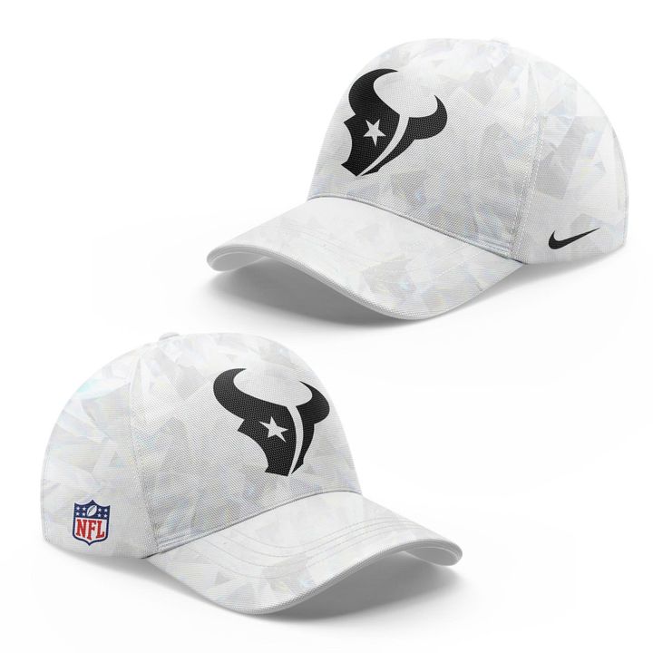 Houston Texans New Pro File Pic Hoodie 2025