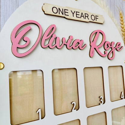 Baby Birth through One Year Monthly Picture Frame Wall Art, Personalized Wooden Photo Frame for Baby, Baby Gift