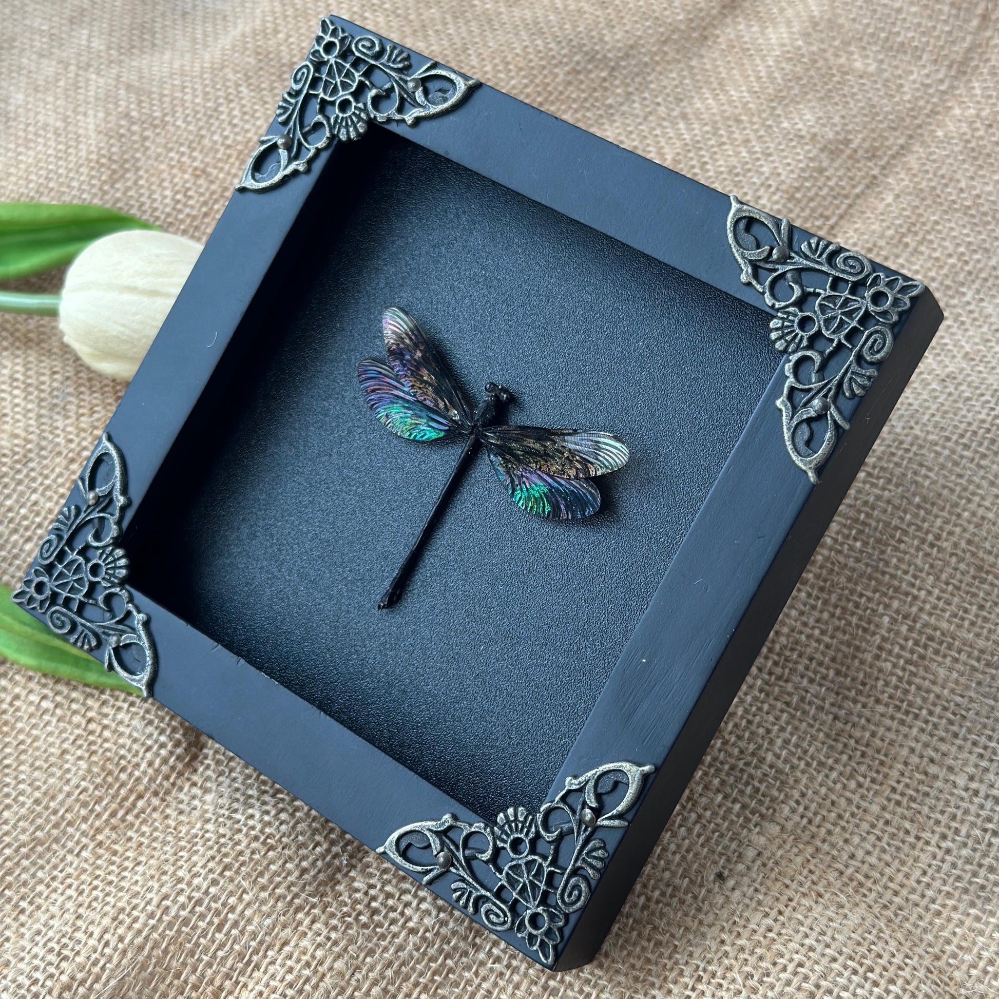 Black Damselfly Taxidermy Frame Shadow Box Insect Beetle Home Gothic Decor Christmas Gift