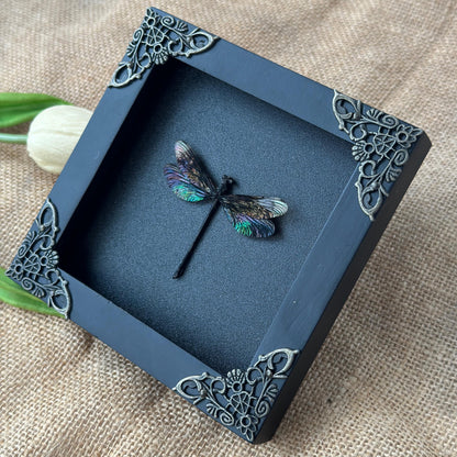 Black Damselfly Taxidermy Frame Shadow Box Insect Beetle Home Gothic Decor Christmas Gift