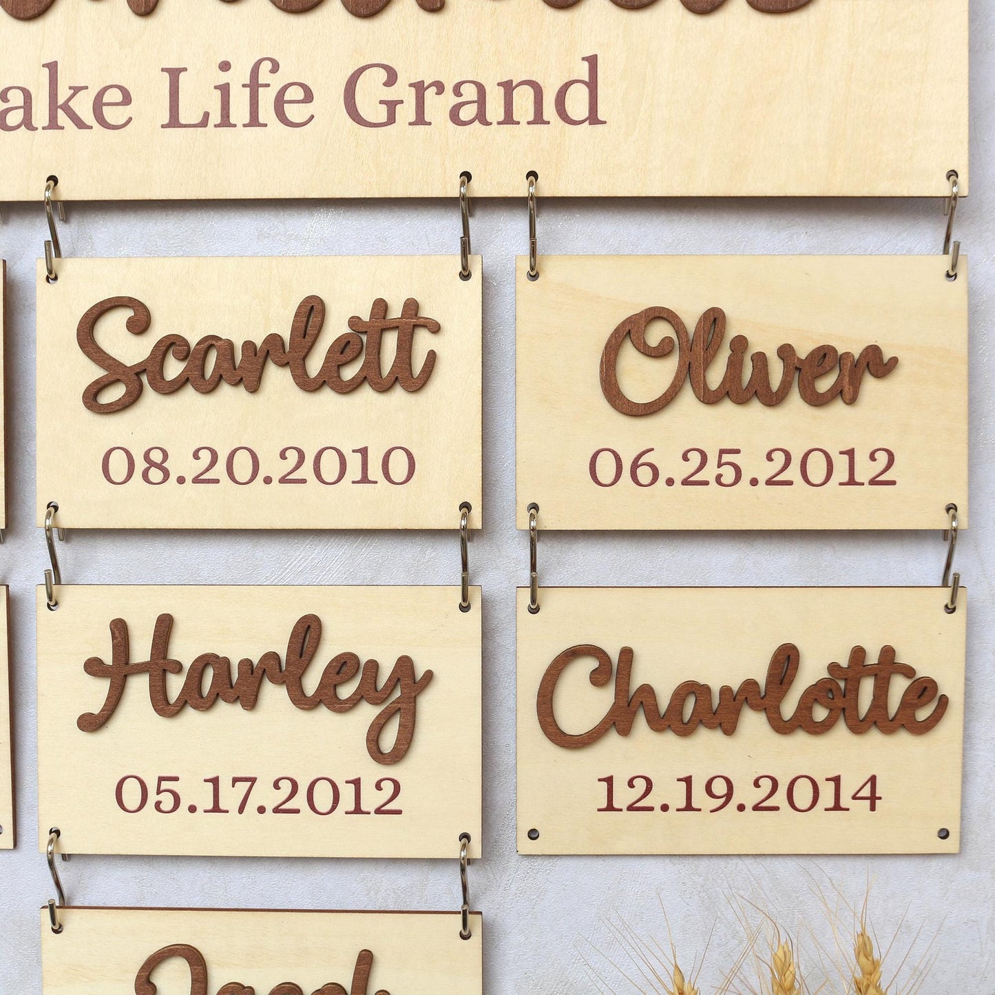 Grandchildren Sign, Wooden Family Name Plaque, Grandkids Sign, Gift For Grandparent, Gift For Mom, Grandparents Plaque, Grandkid Name Sign